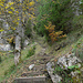 Viele Treppen gab's auf dem Aufstiegsweg