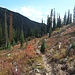 Gilpin Lake Trail