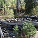 Naturbrücke über den Gold Creek