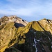 Rückweg vom Tierberg