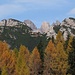 Rückblick von der Malga Rinbianco