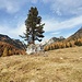 magisch
