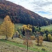 Herbstliche Farbenpracht