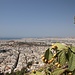 Häusermeer mit Akropolis in der Mitte