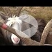 Il video di <b>Giordano</b>
Seguite il suo canale <a href="https://www.youtube.com/@giordanocarugo5189" rel="nofollow"> YouTube</a>