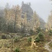 Schockgebirgsalm