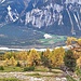 "Was im Pfyywald isch, bliibt im Pfyywald!" 