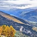 Waldbrandfläche erneut entflammt