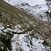 die Schlusspassage auf den Walliswenge beginnt nach einem kurzen bewaldeten Abschnitt