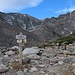 Abzweig zum Chasm Lake