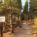 Longs Peak Trailhead im Morgenlicht