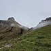 Nebel zieht auf