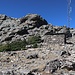 Der einfachere Twin Sisters West Peak unter der Antenne