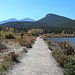 Spazierweg am Lily Lake