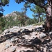 Lily Ridge Trail