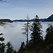 Über dem Nebel im Aufstieg zur Seekarspitze