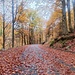 Lungo la strada che porta a Fondo li Gabbi