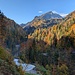Das Tal, mit der Strasse nach Ebnit, im Herbstgewand