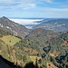 wieder einmal ein schöner Rückblick 