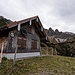 Die Alpe im Hintergrund das Sattelköpfle 