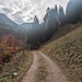 Kurz vor dem Mitterhof - der Wald lichtet sich so langsam