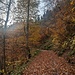 Herbstliche Alpwege zum Mitterhof