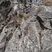 Die Schlüsselstelle des Klettersteigs
