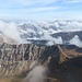 Schäfchen im Norden