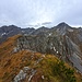 Aber auch dieser ist ganz schön. Auf dieser (nicht allzu schmalen) Grasschneide wanderte ich nach Westen, wobei ich den Schafkopf (bzw. das Schafsköpfle) überschritt.