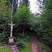 Hier wandten wir uns nun nach rechts, am Waldrand entlang, und nach einer Wiese beim Wegkreuz die zweite rechts (südwärts) in den Wald.