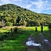 Im Bärenbrunner Tal.