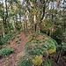Unsere Route führte nun über den gesamten Rücken des Kahlenbergs....