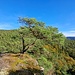 Wer sich traut, kann den östlichsten Felsen noch besteigen, das ist einfach.