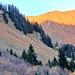 Ich suchte mir die Rinne mit den beiden Latschen in der Bildmitte aus. Tatsächlich wurde es dann die Rinne links davon. Der Wald dazwischen war mir zu steil.
