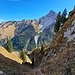Kuckt mal, wo hier Bäume wachsen! Krass.