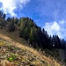 Wie gesagt: Ich hatte mir am Morgen die Rinne mit den beiden Latschen zum Abstieg ausgesucht. Tatsächlich wurde es dann die Rinne in der linken Bildhälfte. Richtige Entscheidung, der Wald dazwischen ist mir zu steil gewesen.
