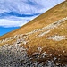 Das Gras war knusprig, und ich konnte die Wegspur schon kaum entdecken. Wie musste das nur im Sommer sein? Immerhin fand ich einige rote Markierungen...