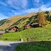 Fallerschein war ab der Mitte des 15. Jahrhunderts eine zur Pfarre Berwang gehörende, aus drei bis sechs Höfen bestehende Dauersiedlung. Ab etwa 1600 wurde es dann nur noch sommers bewirtschaftet, von Stanzach aus. 1775 bestand die Ansiedlung aus 45 Häusern, 1837 aus 48, 1971 waren es nur noch 35. 1844 wurde auf einer Anhöhe oberhalb des Almdorfes die Kapelle Maria zum Guten Rat erbaut. 