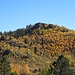 Herbstfarben gegenüber des Crystal Creek Reservoirs