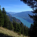 Nochmals Walensee