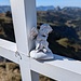 Engeli beim Kreuz auf dem Gipfelchen 2033m, das wir "Engelispitz" tauften