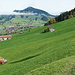 Wanderweg über Weiden, auch sehr nass