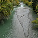 La Sarine