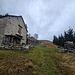 Piangerra