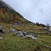Verso Metusch
