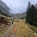 Verso Alpe Compiett.<br />Sempre nelle curiosità, si trovano alcune auto parcheggiate, tutte portate qui con l'elicottero