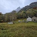 Canvasgia