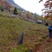 Verso Metusch