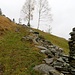 Metusch