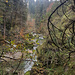 Blick von einer Schneise